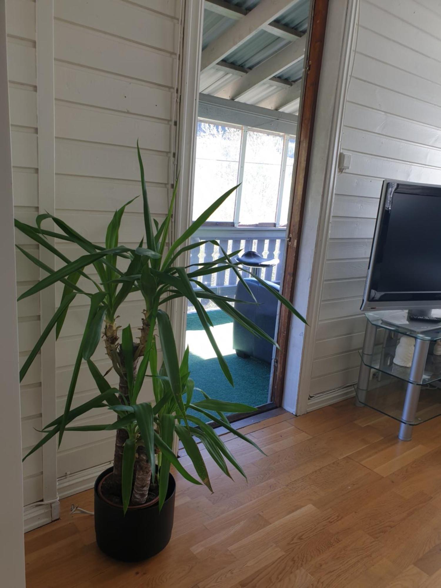 Holiday Home 高尔 外观 照片